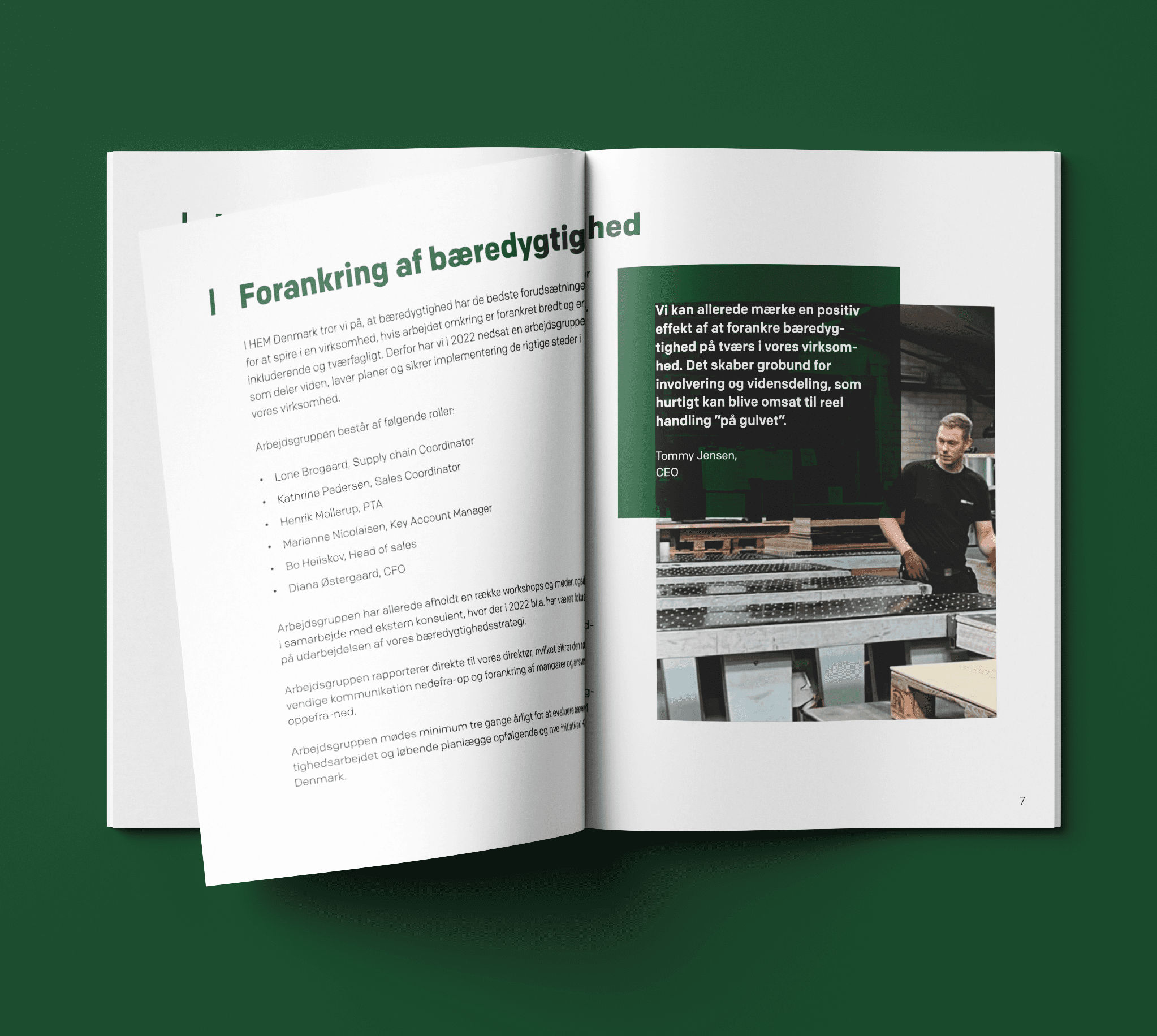 Hem-rapport