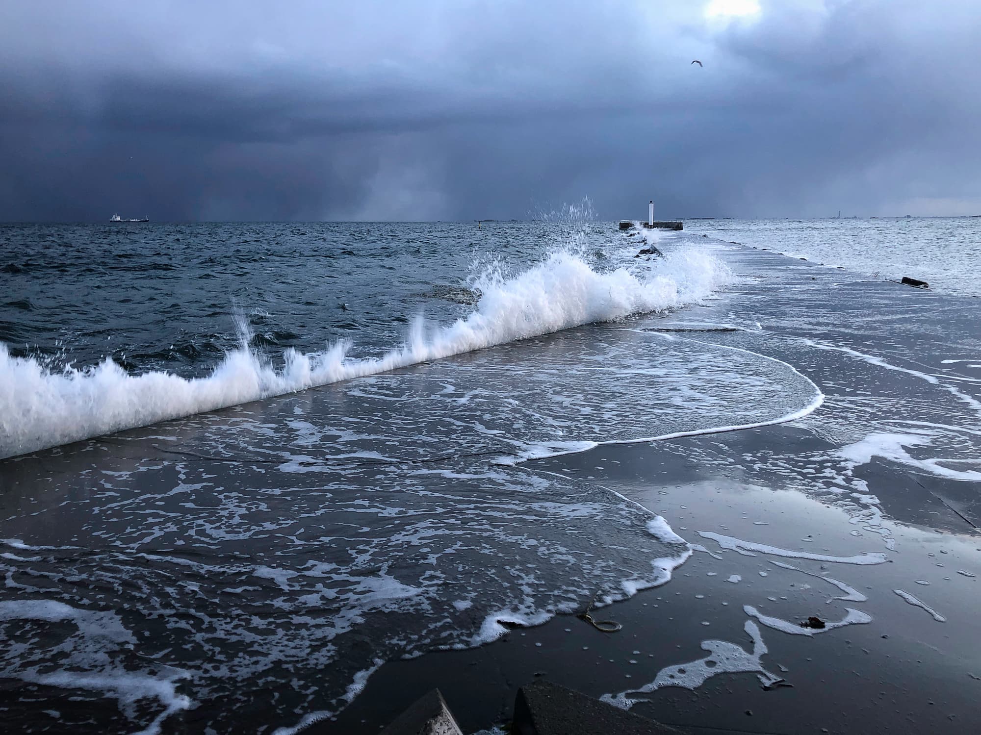 Climate change risk assessment | Viegand Maagøe