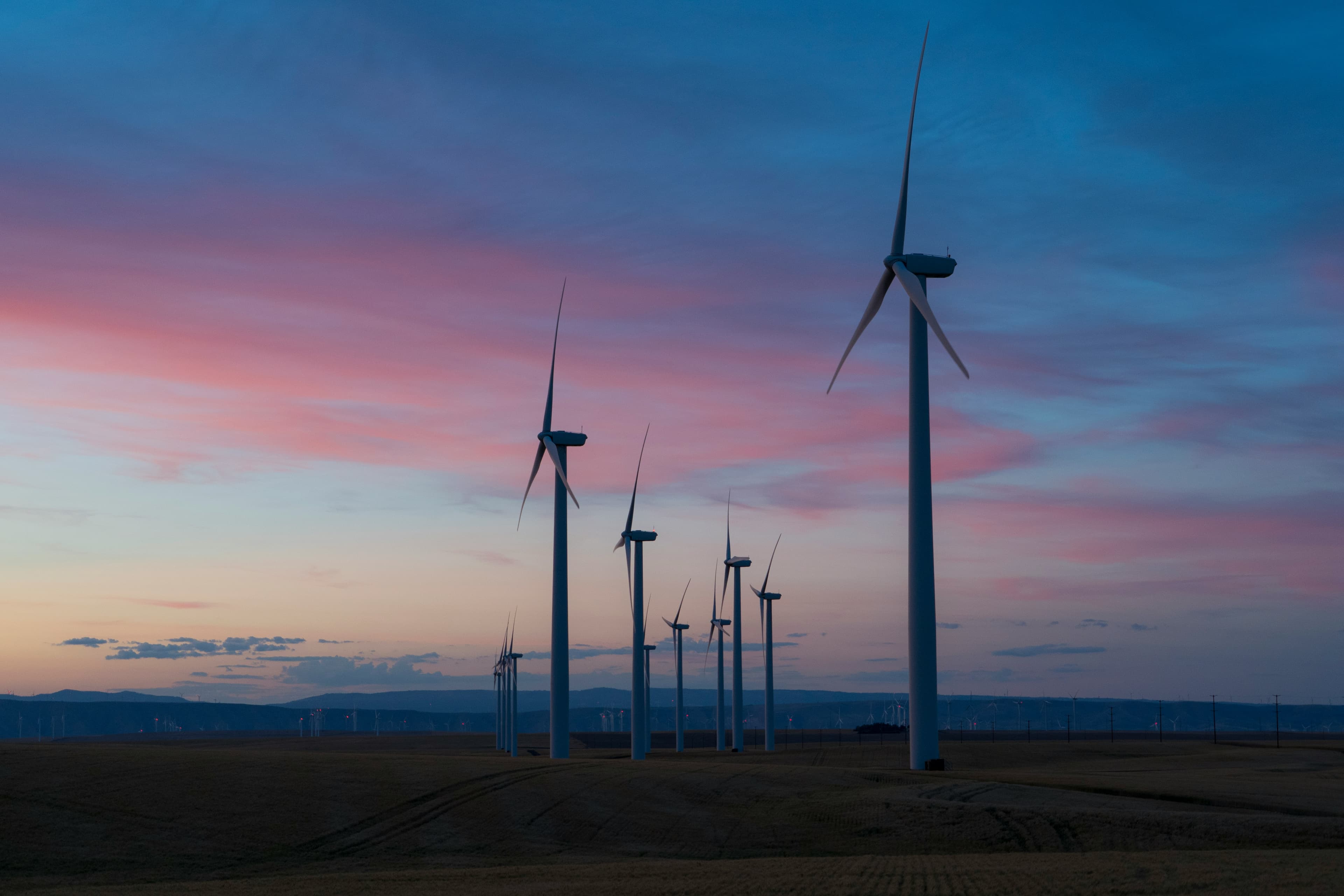 CO2 er kritisk for din forretning
