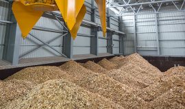 dupont biomasse biomass